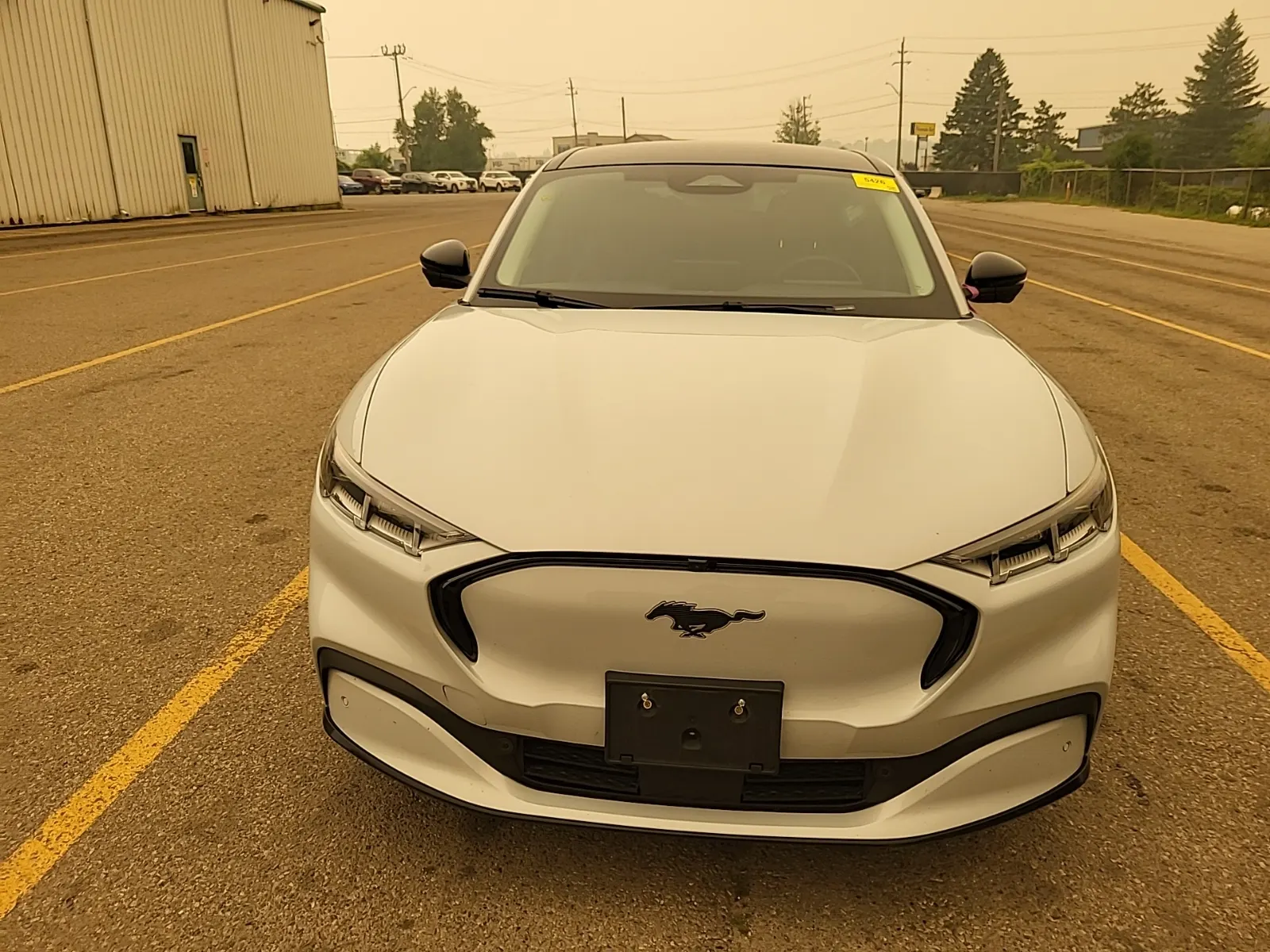 Full Front Photo