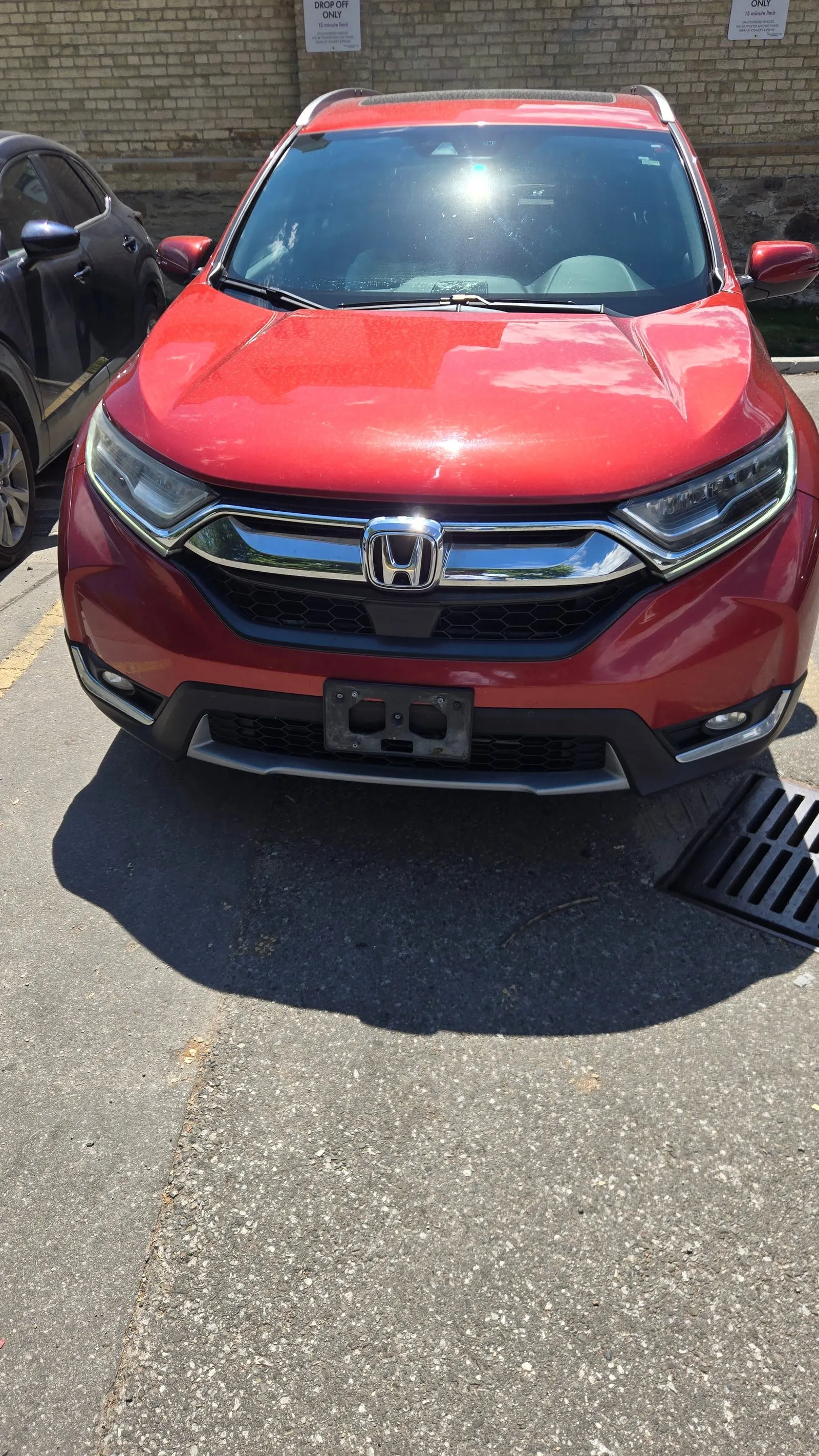 Additional Photo