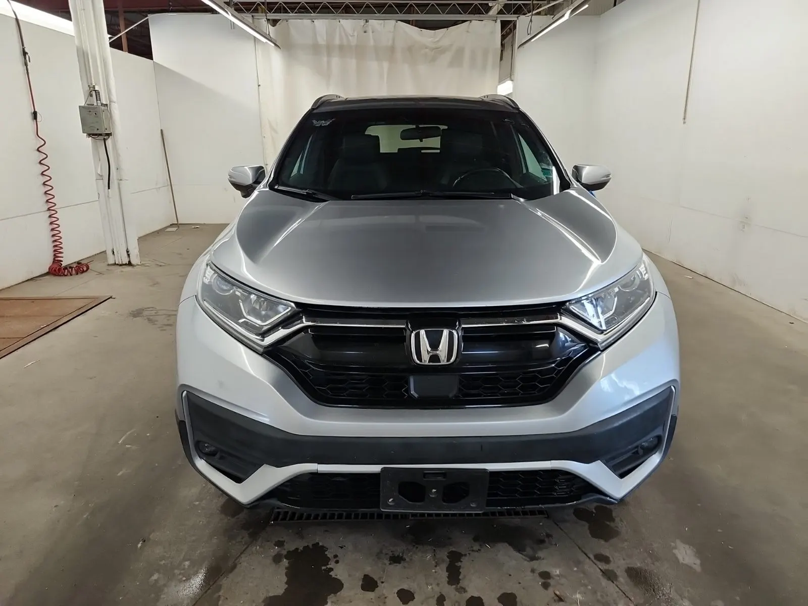 Full Front Photo