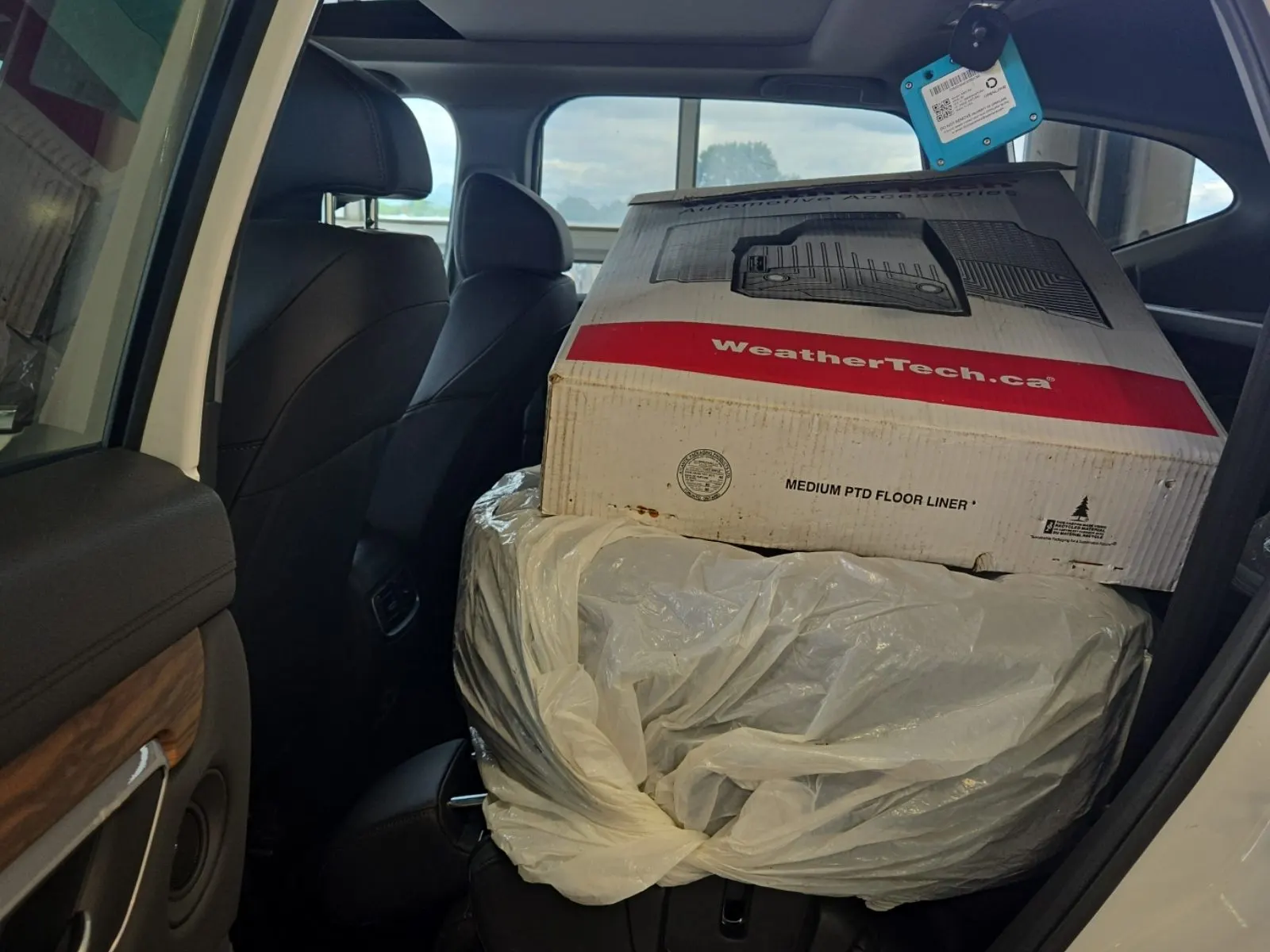 Rear Interior Photo