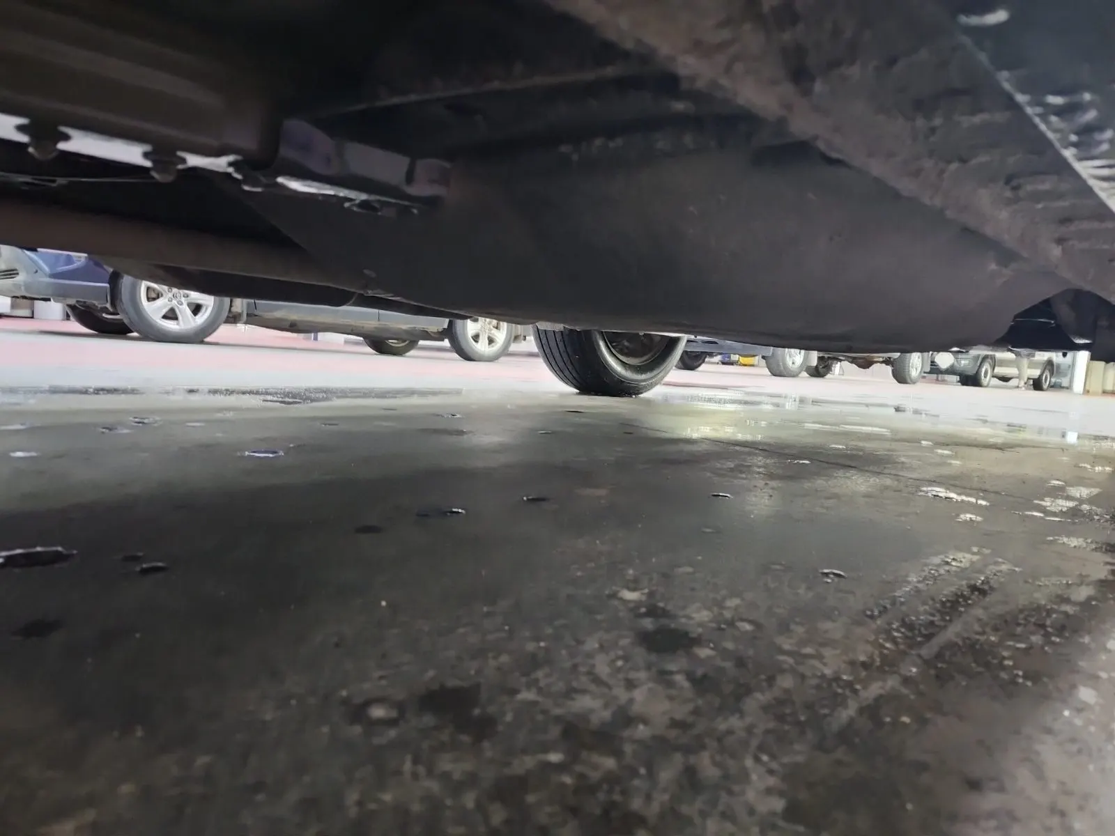 Undercarriage - Driver Photo