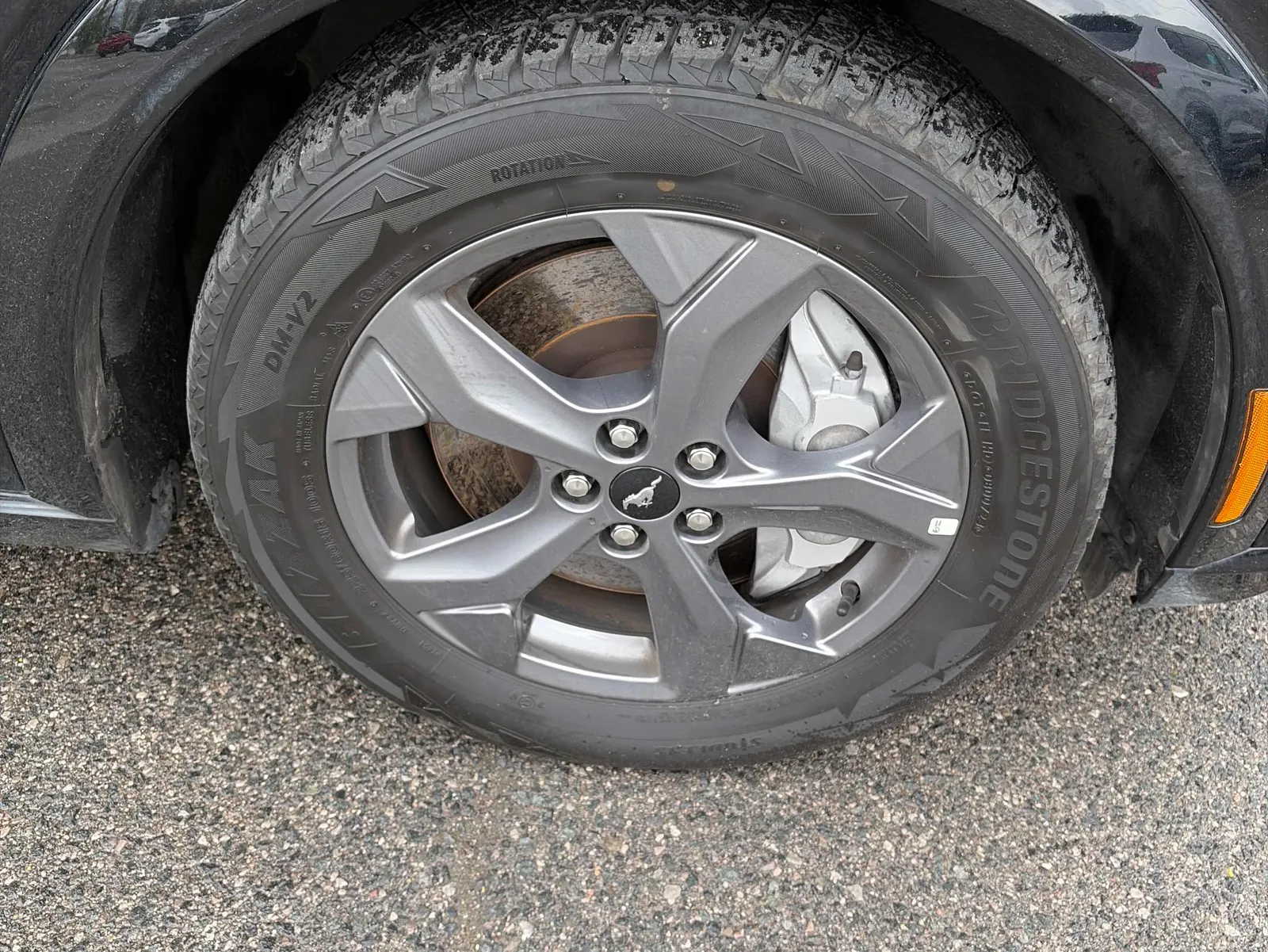 Tire