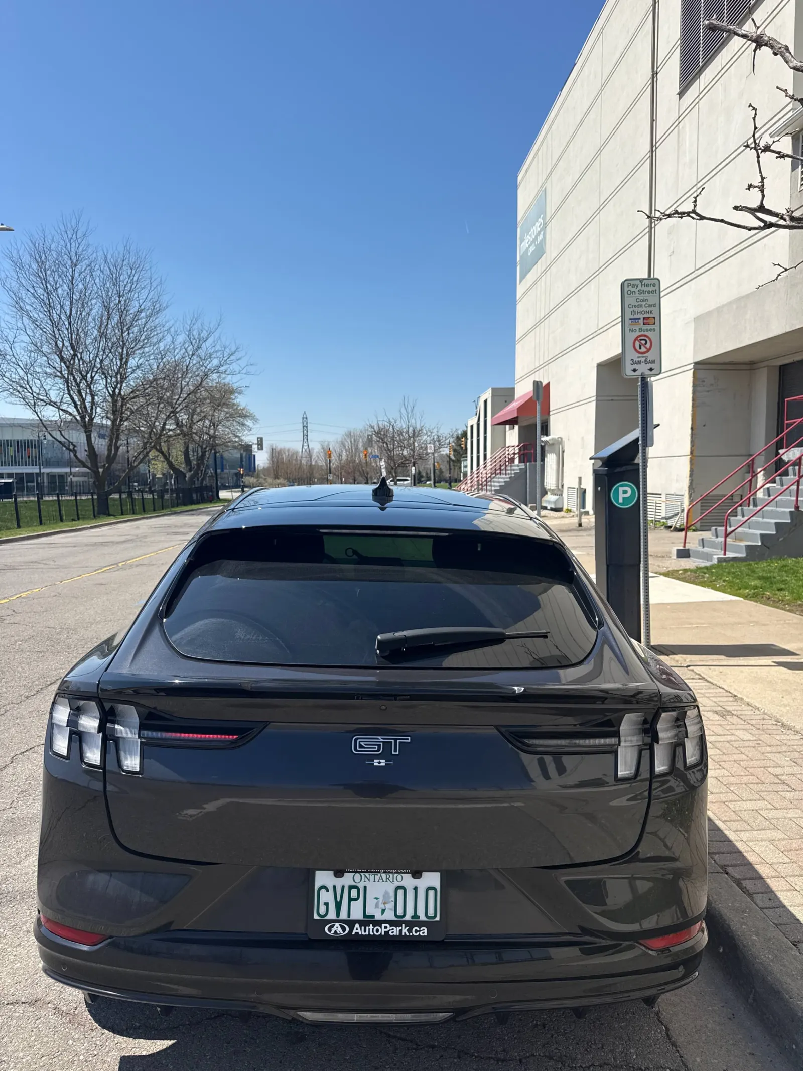 Back