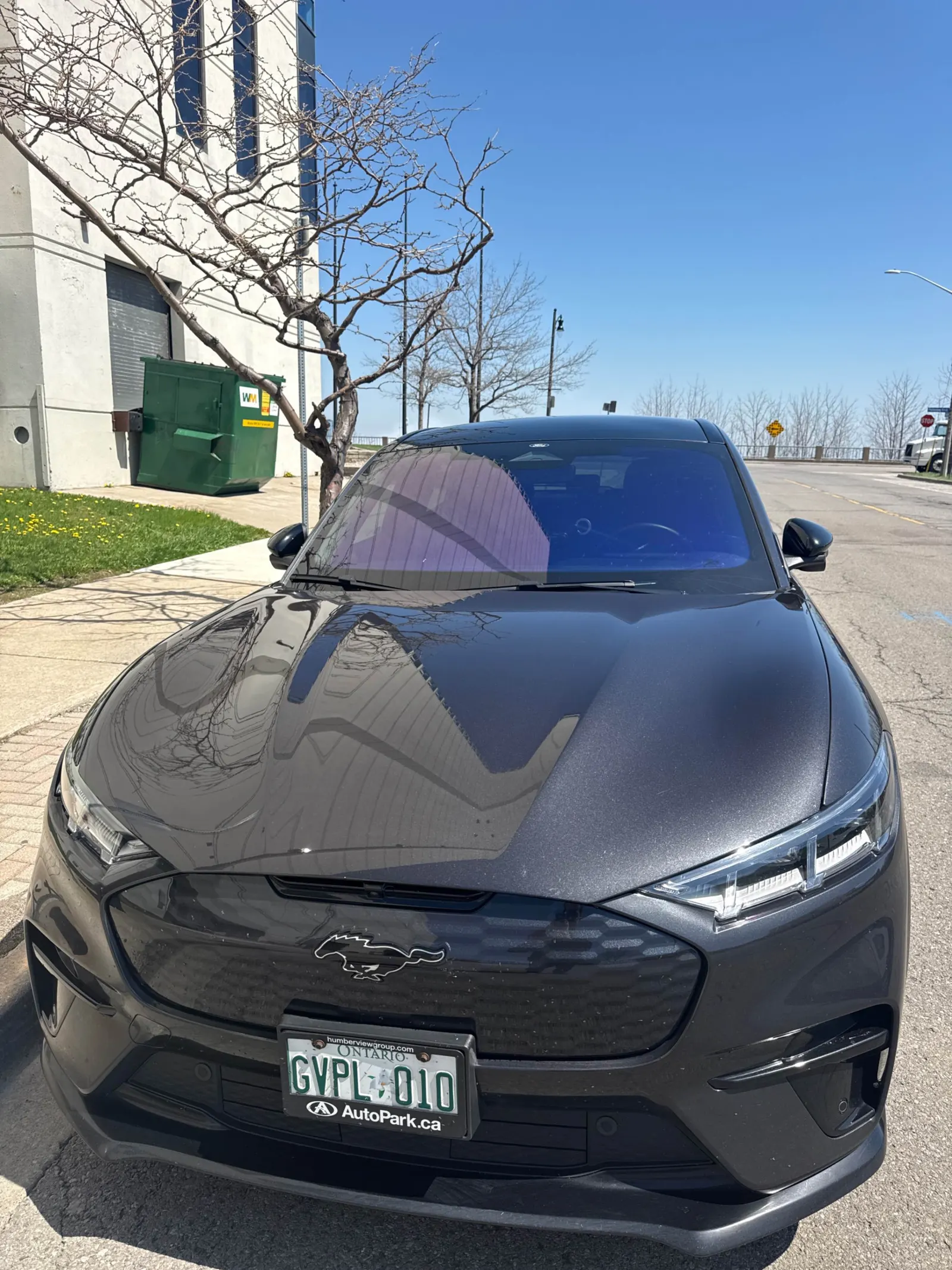 Front