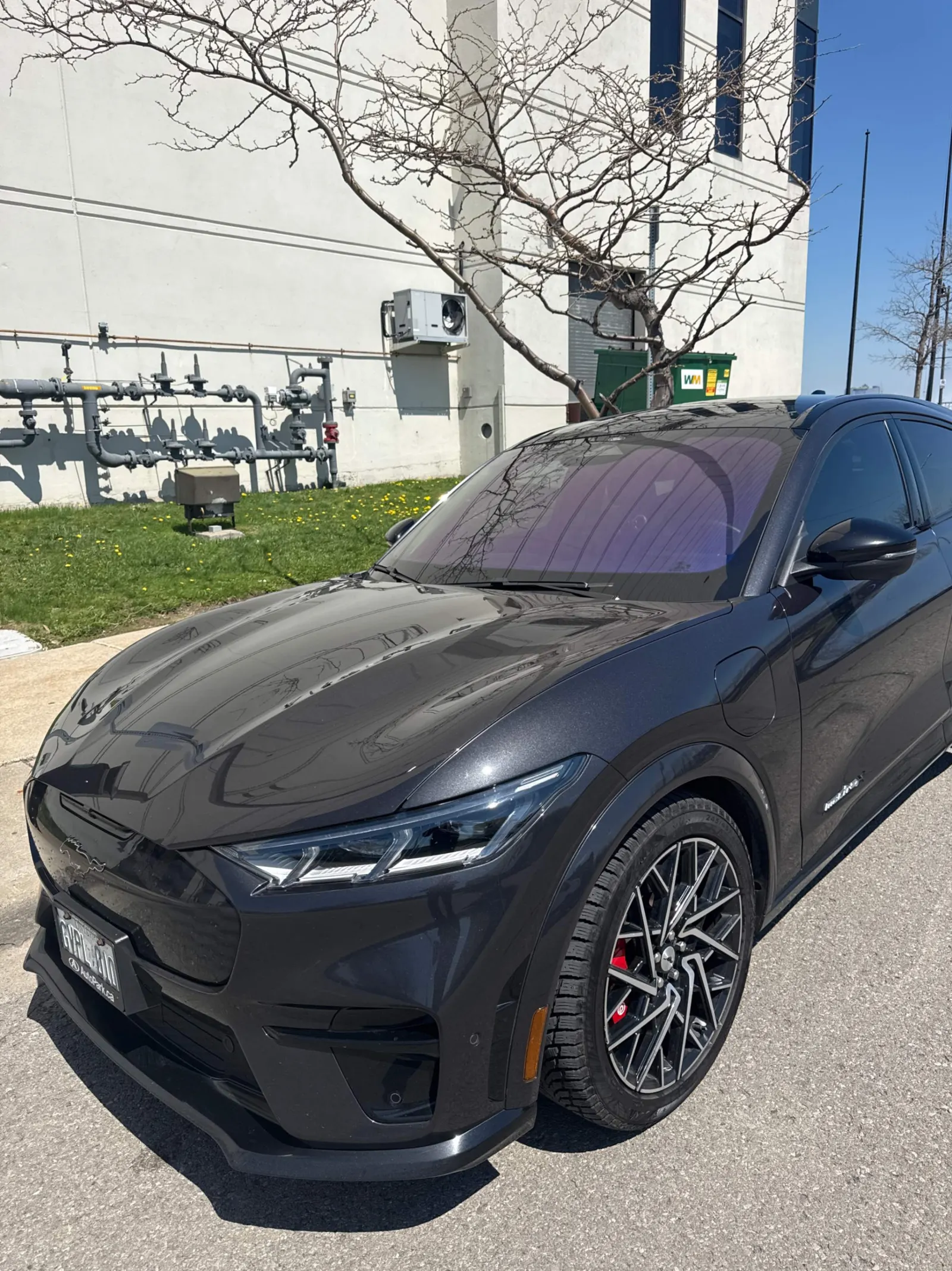 2022 Ford Mustang Mach-E