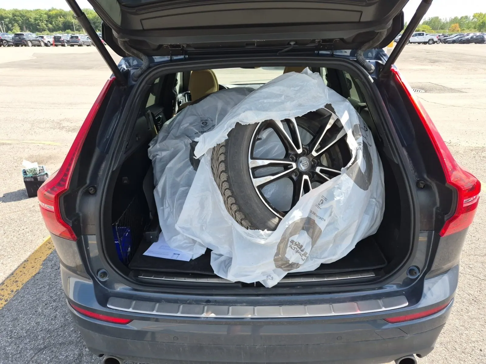 Cargo Area Photo