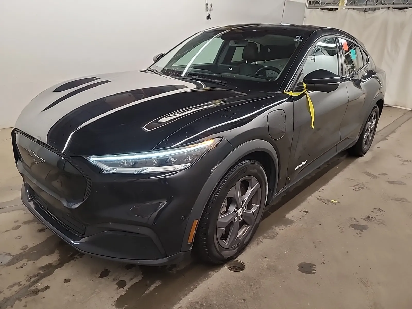 2023 Ford Mustang Mach-E