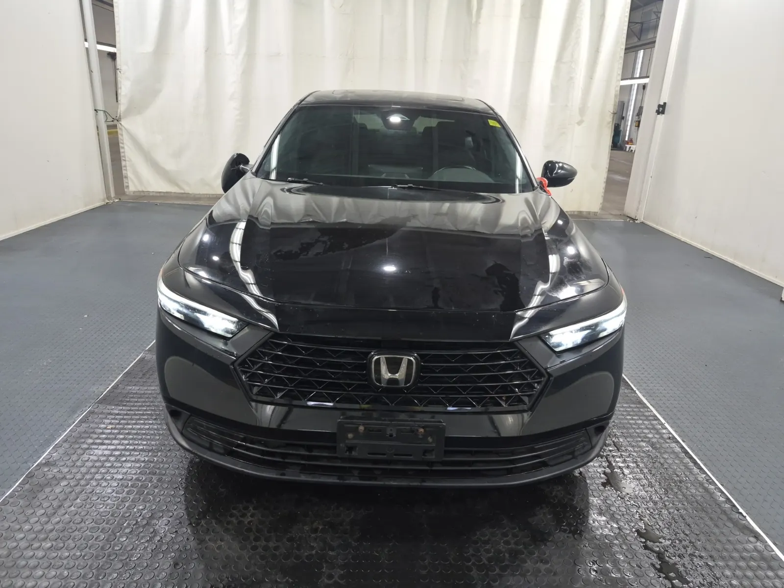 Full Front Photo