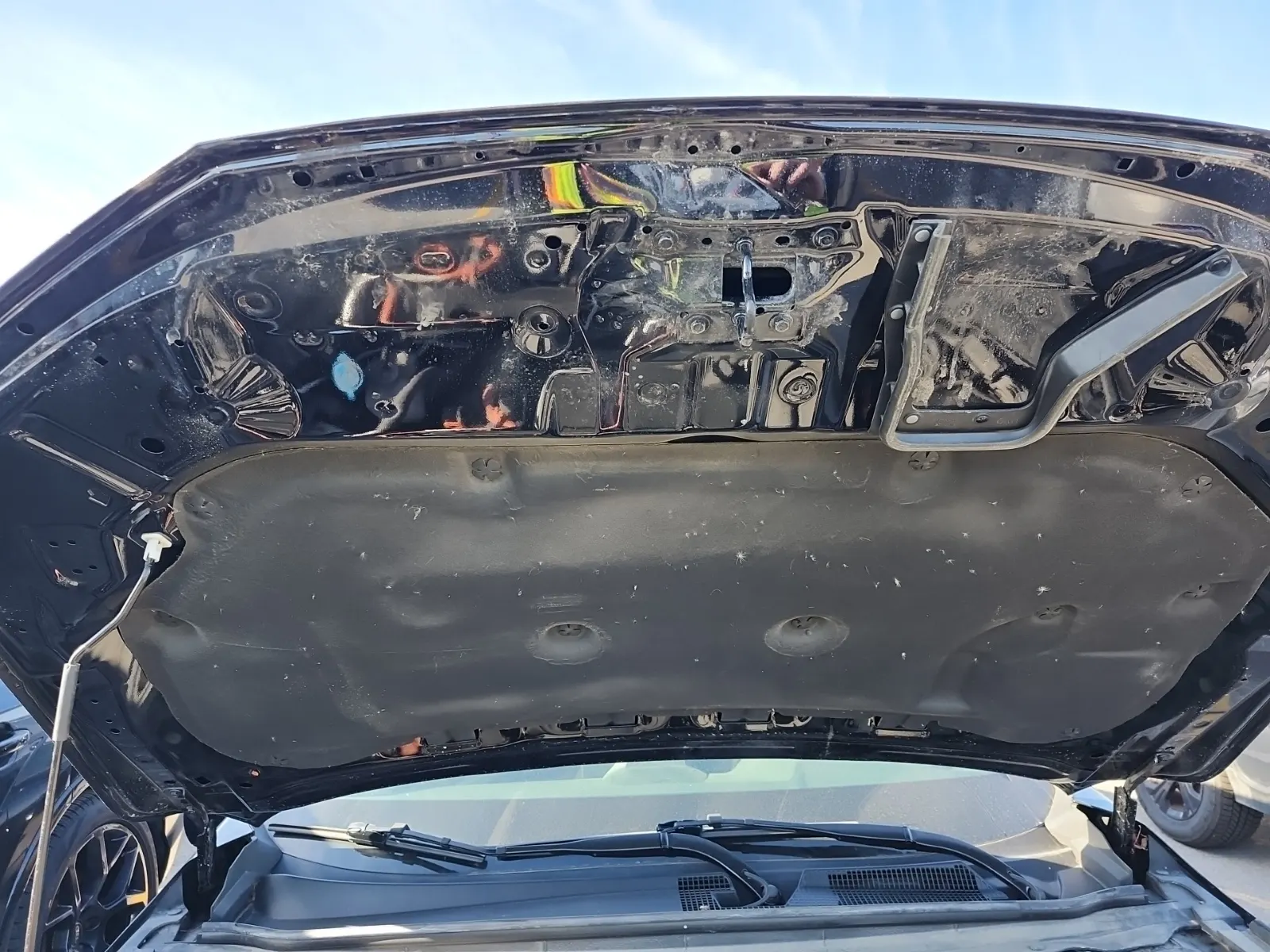 Emission Sticker Photo
