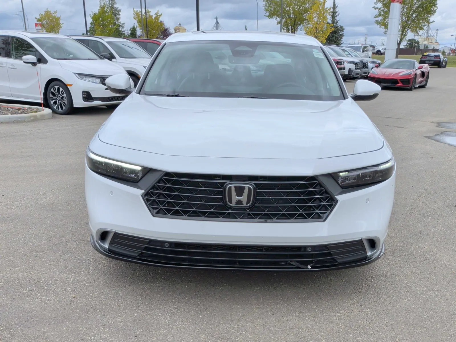 Front
