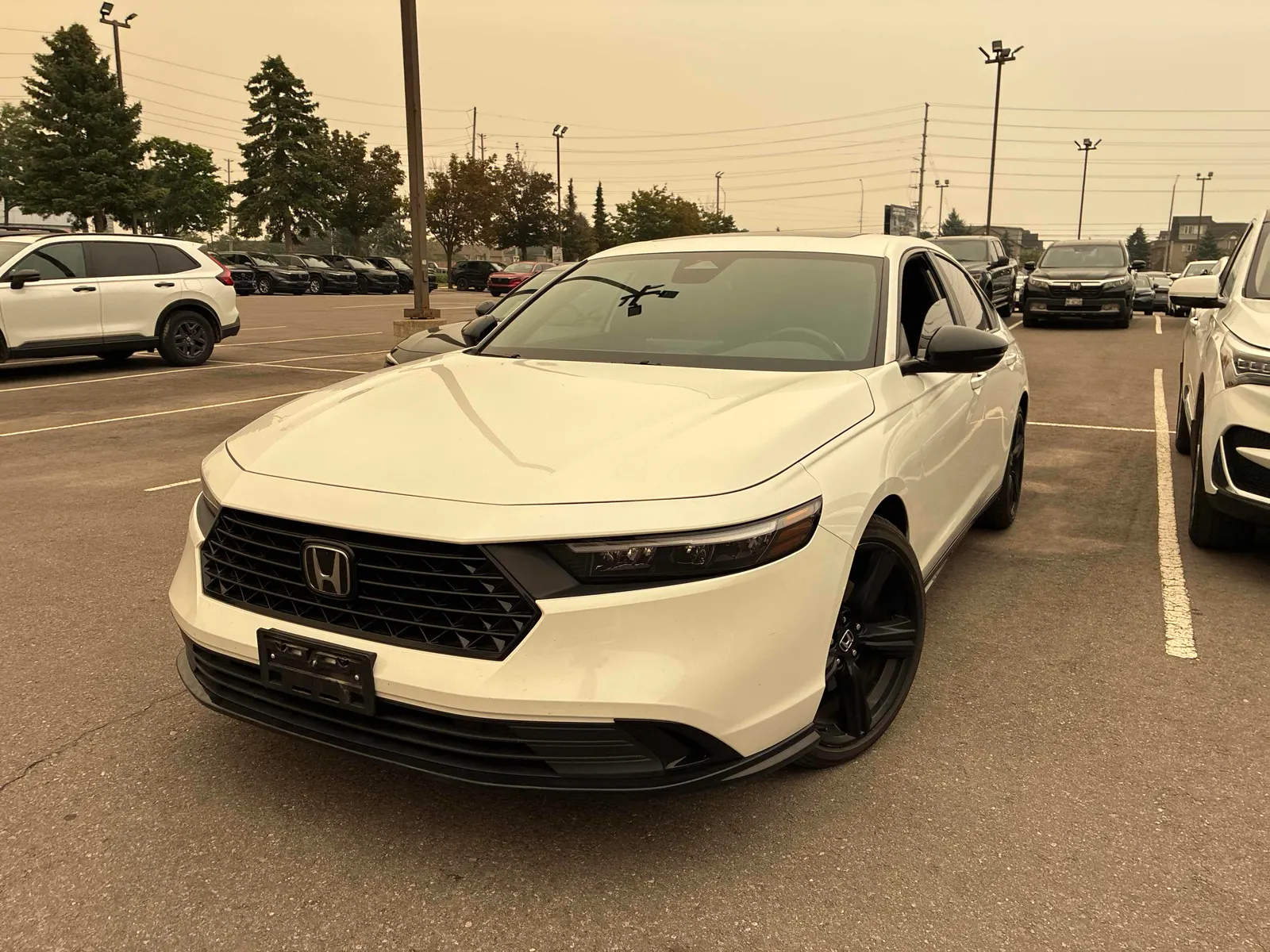 3/4 Front (Main image)
