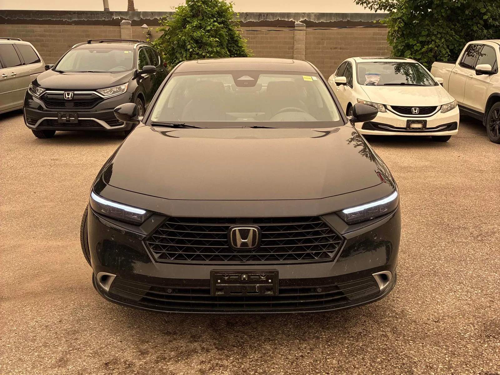 Front