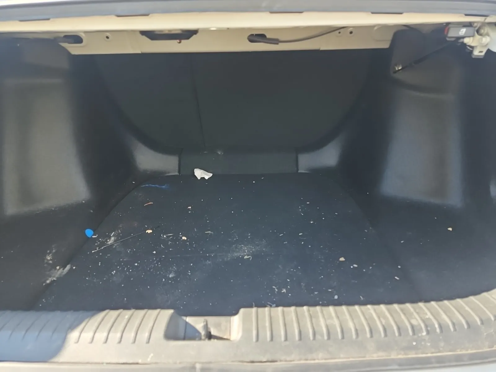 Cargo Area Photo