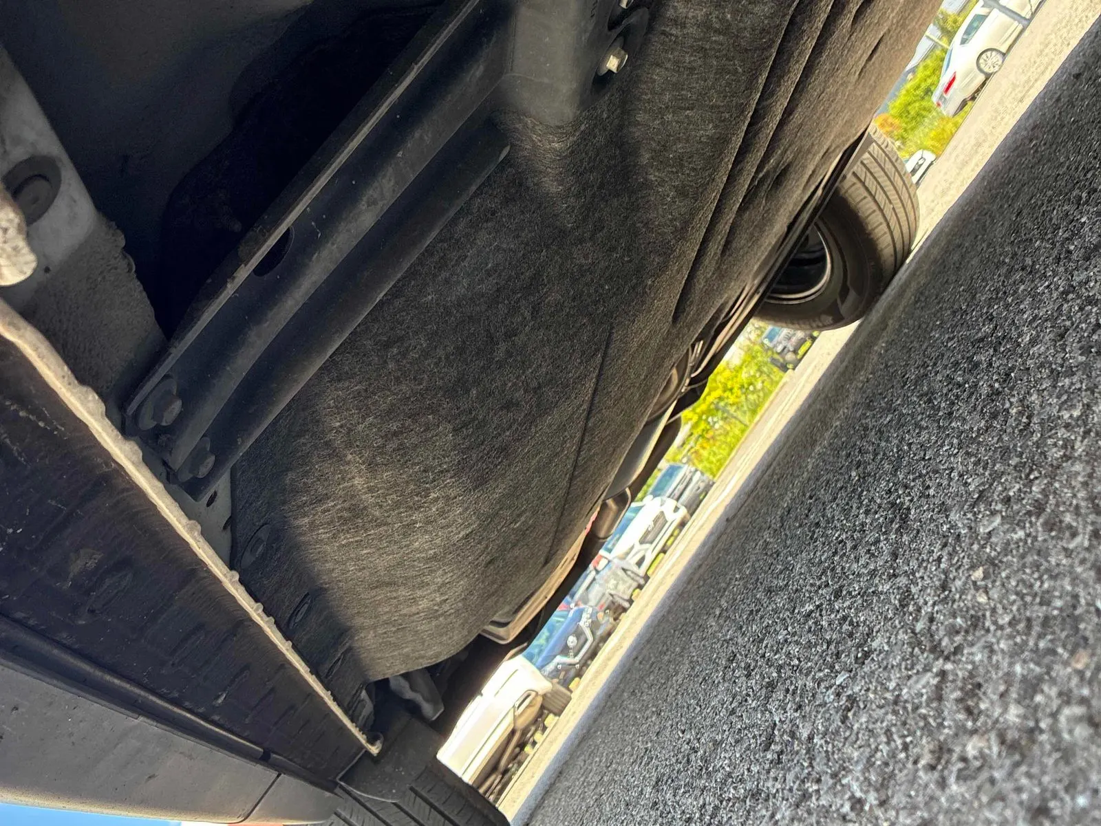 Additional Photo