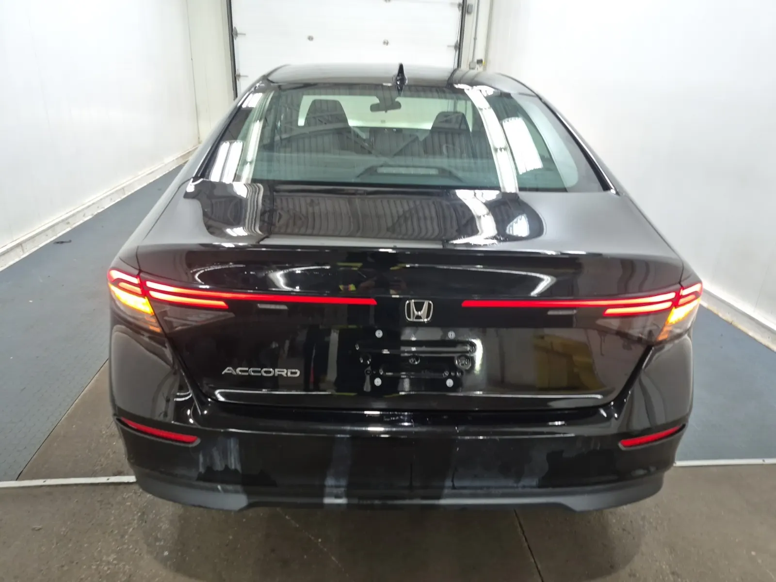 Full Rear Photo