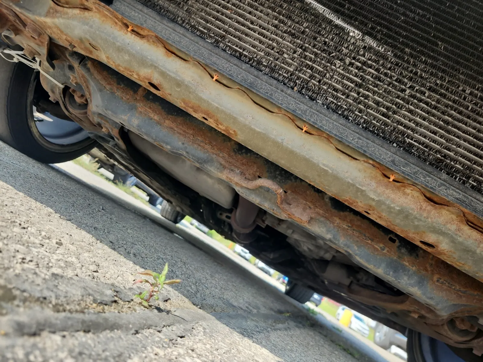 Undercarriage - Front Photo