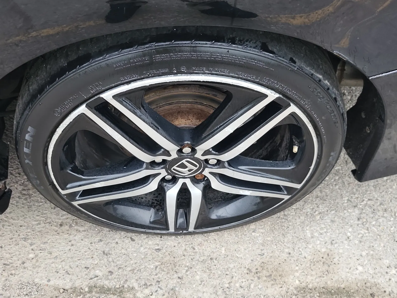 Left Rear Wheel/Tire Photo