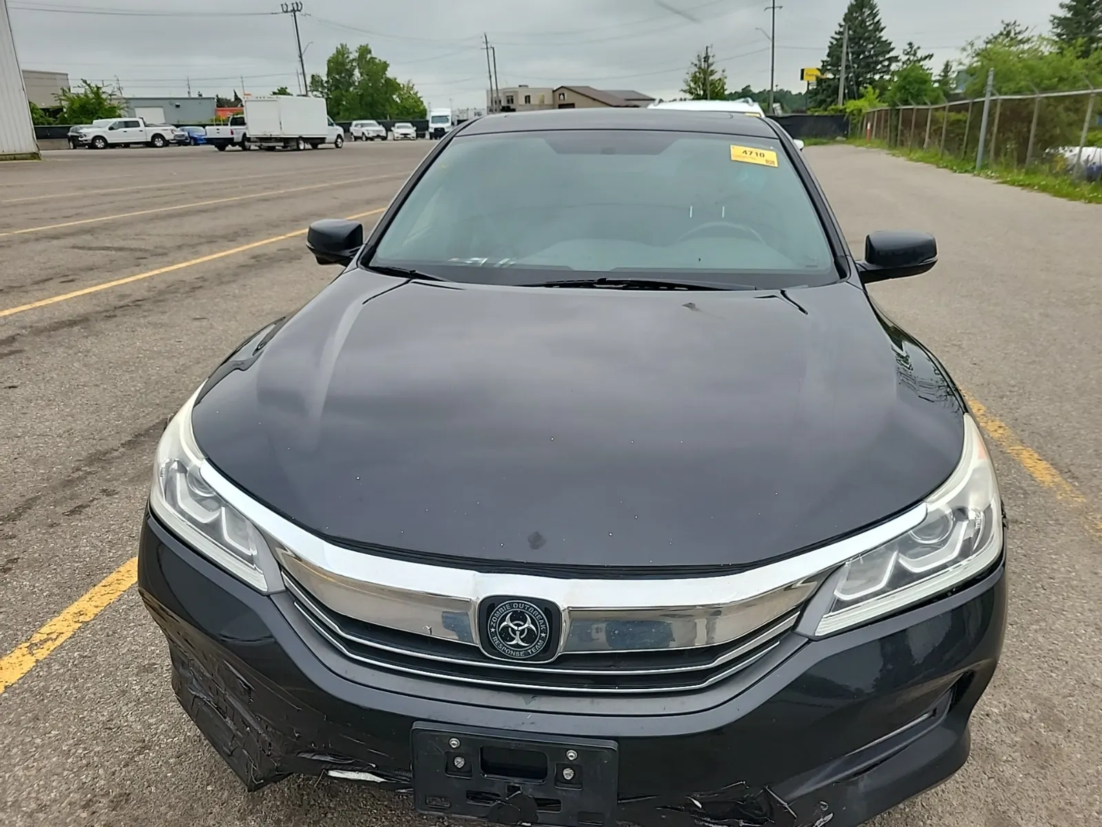 Full Front Photo