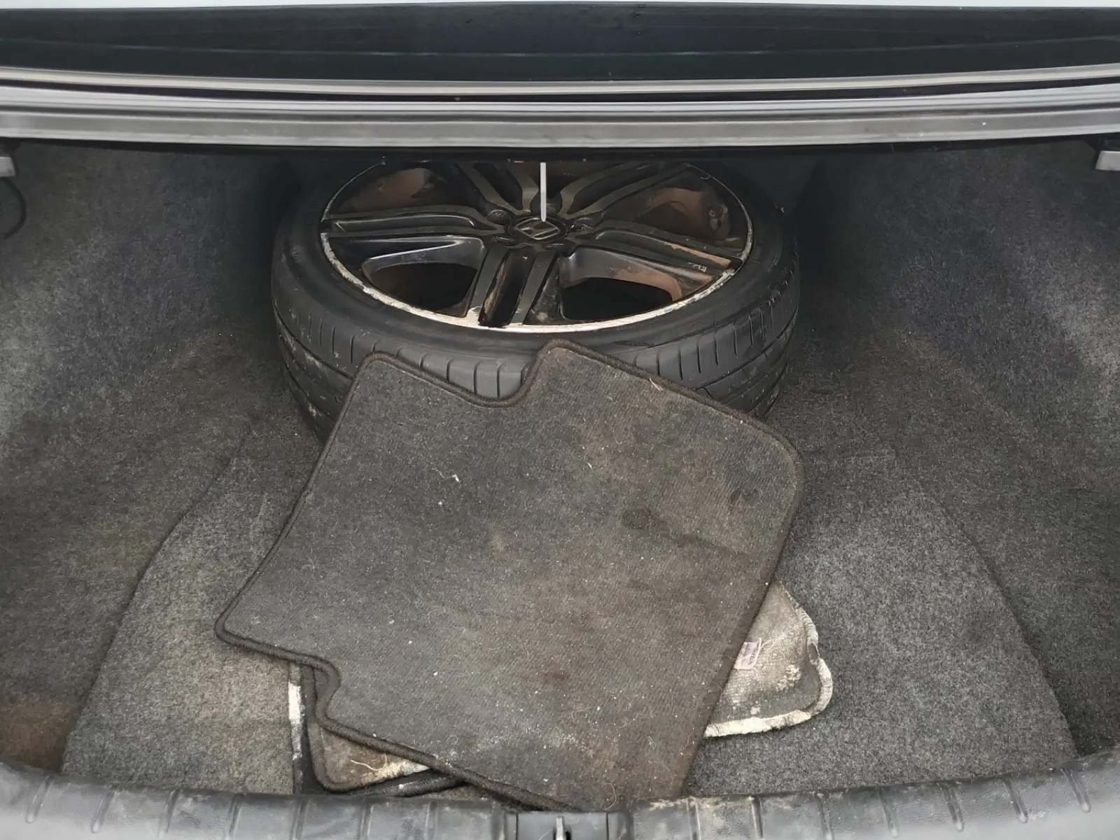 Cargo Area Photo