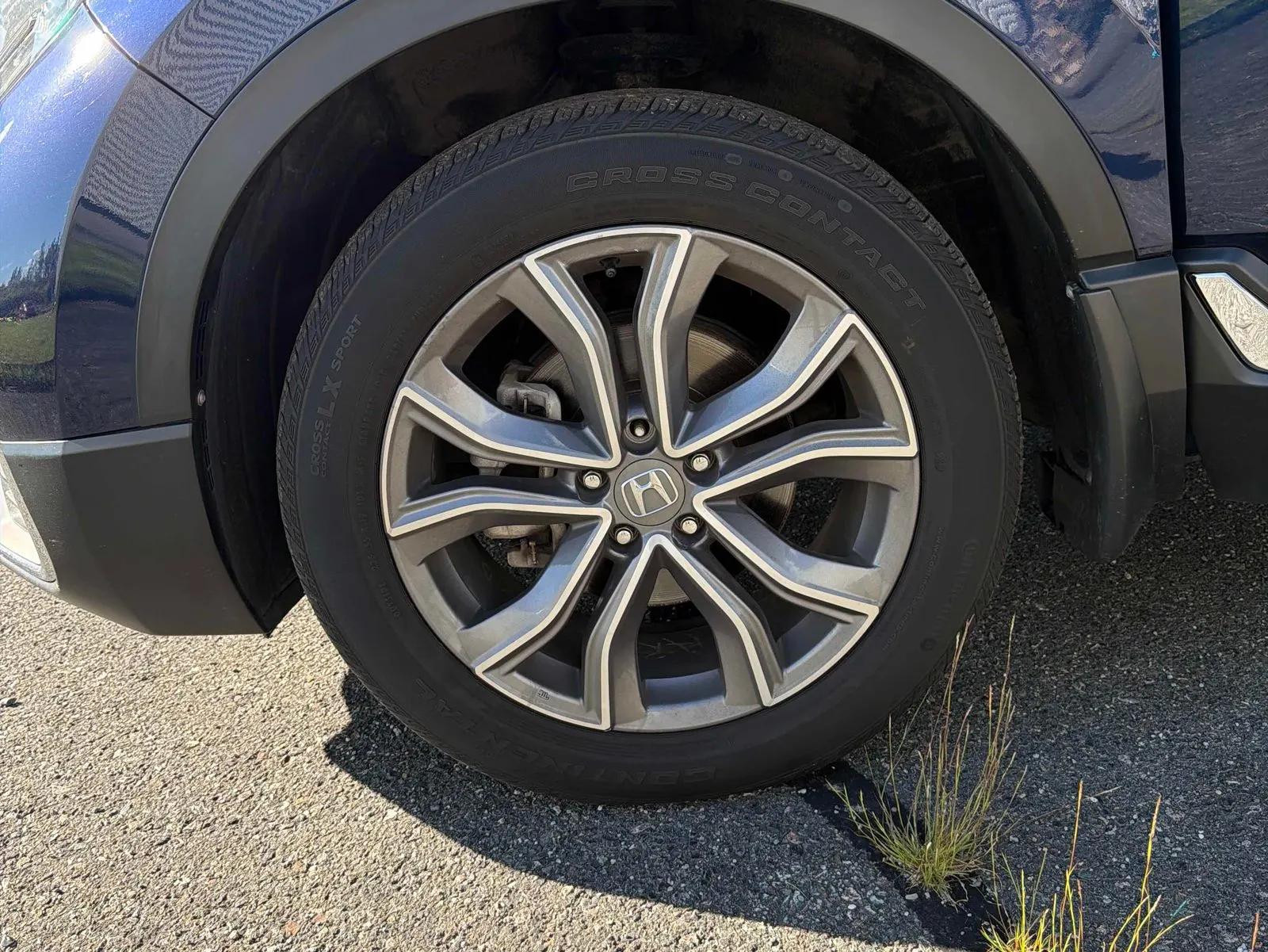 Tire