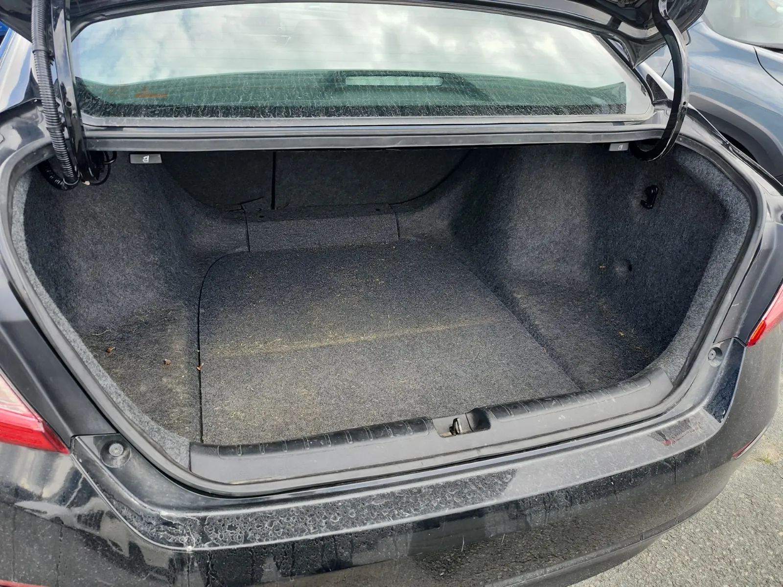 Cargo Area Photo