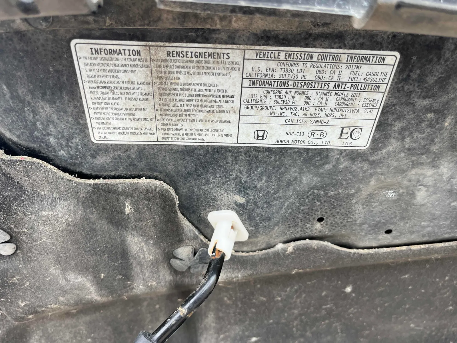 Additional Photo