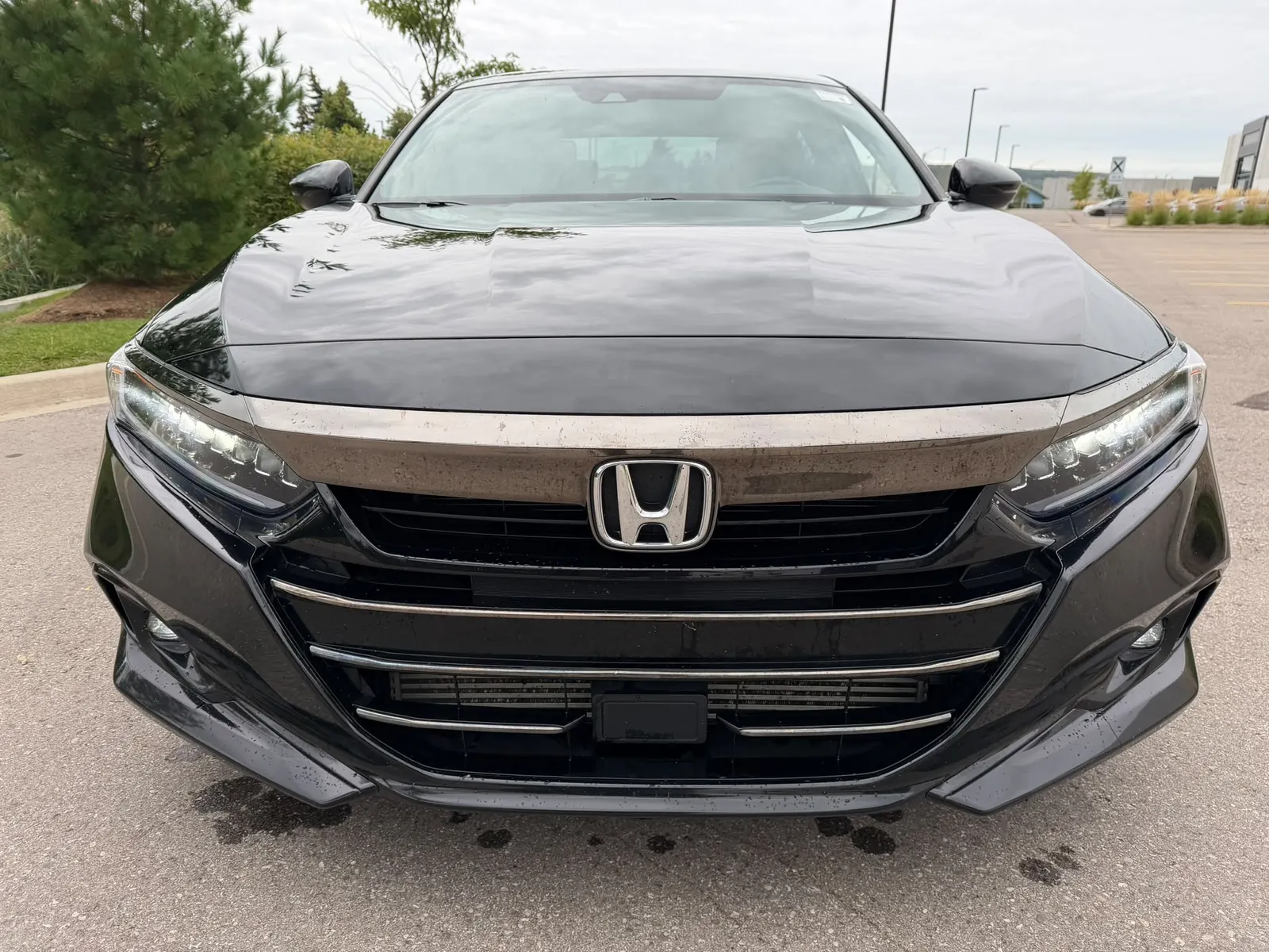 Front
