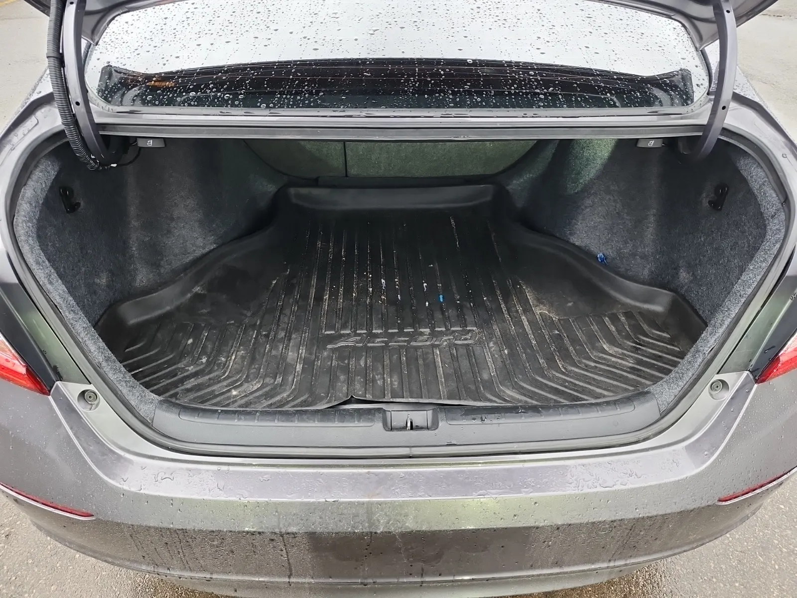 Cargo Area Photo