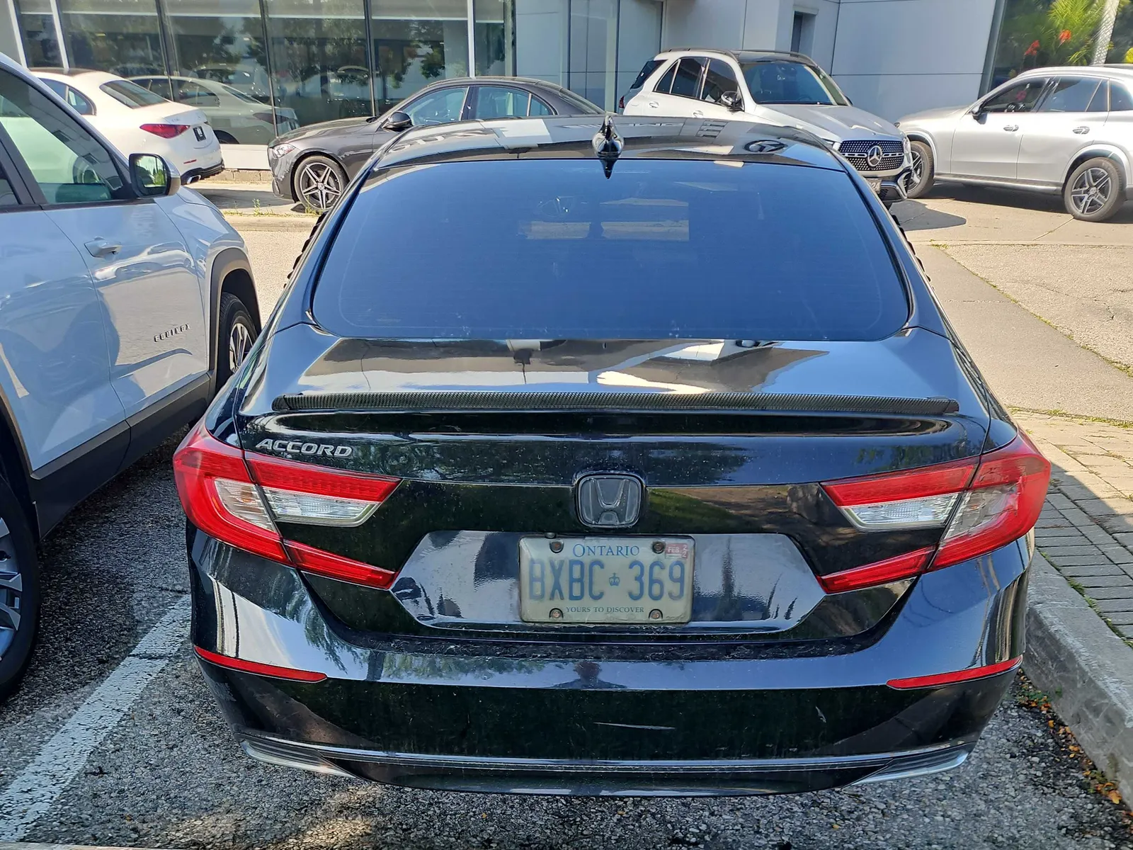 Back