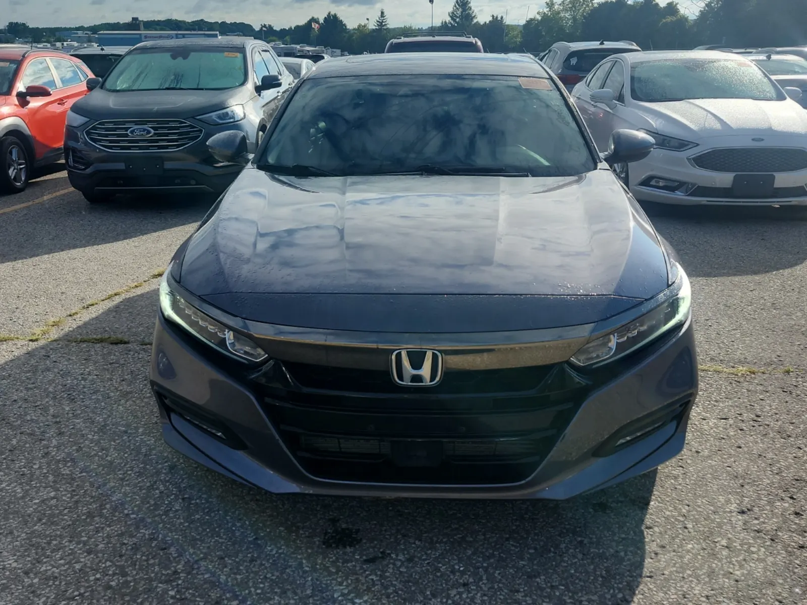 Full Front Photo