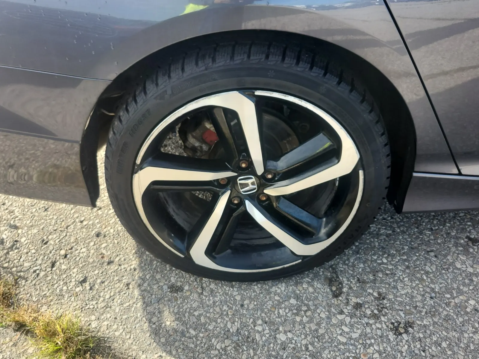 Right Rear Wheel/Tire Photo