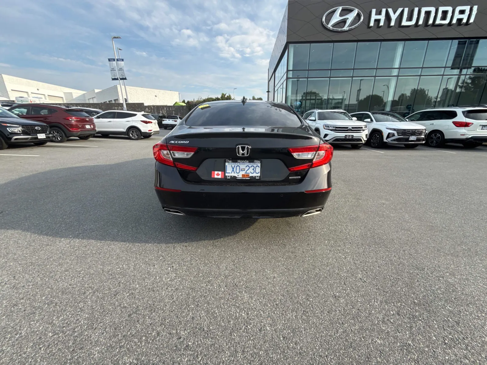 Back