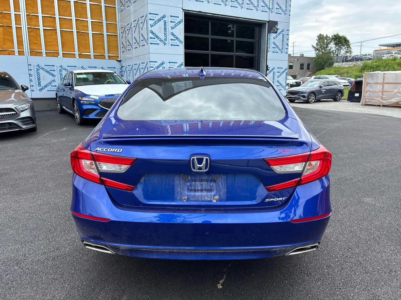 Back