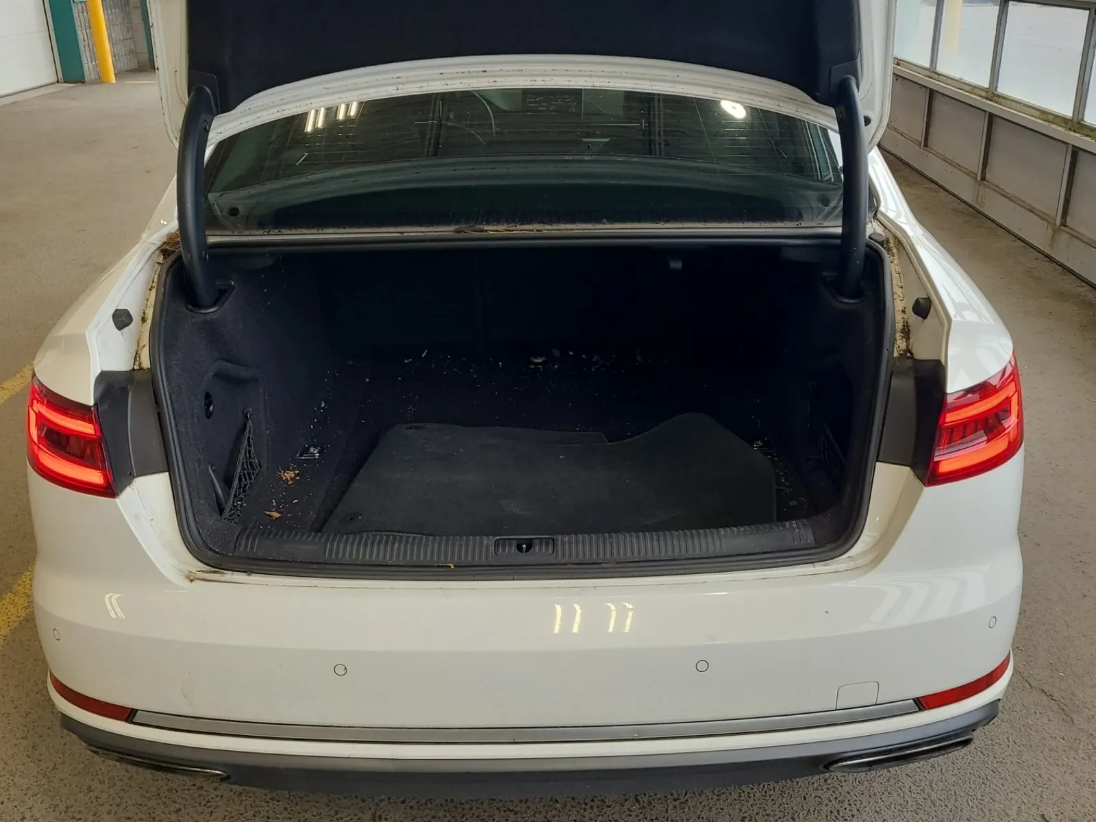 Cargo Area Photo
