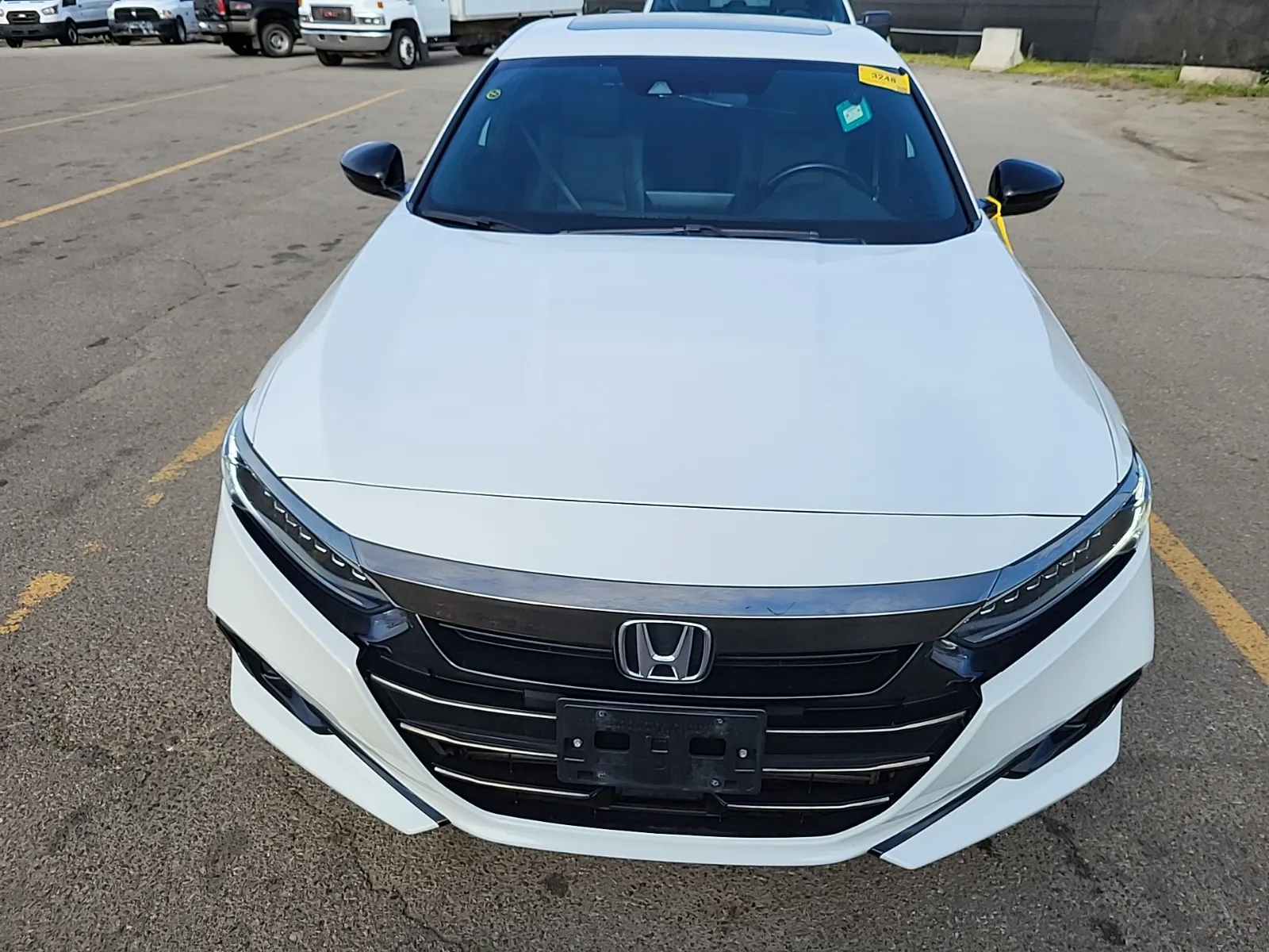Full Front Photo