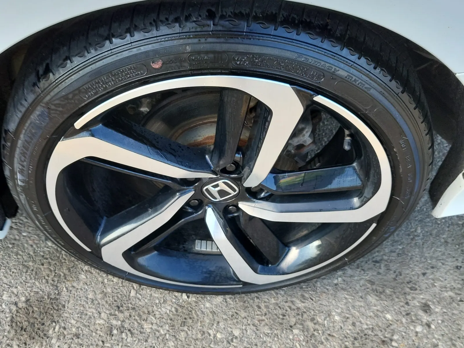 Left Rear Wheel/Tire Photo