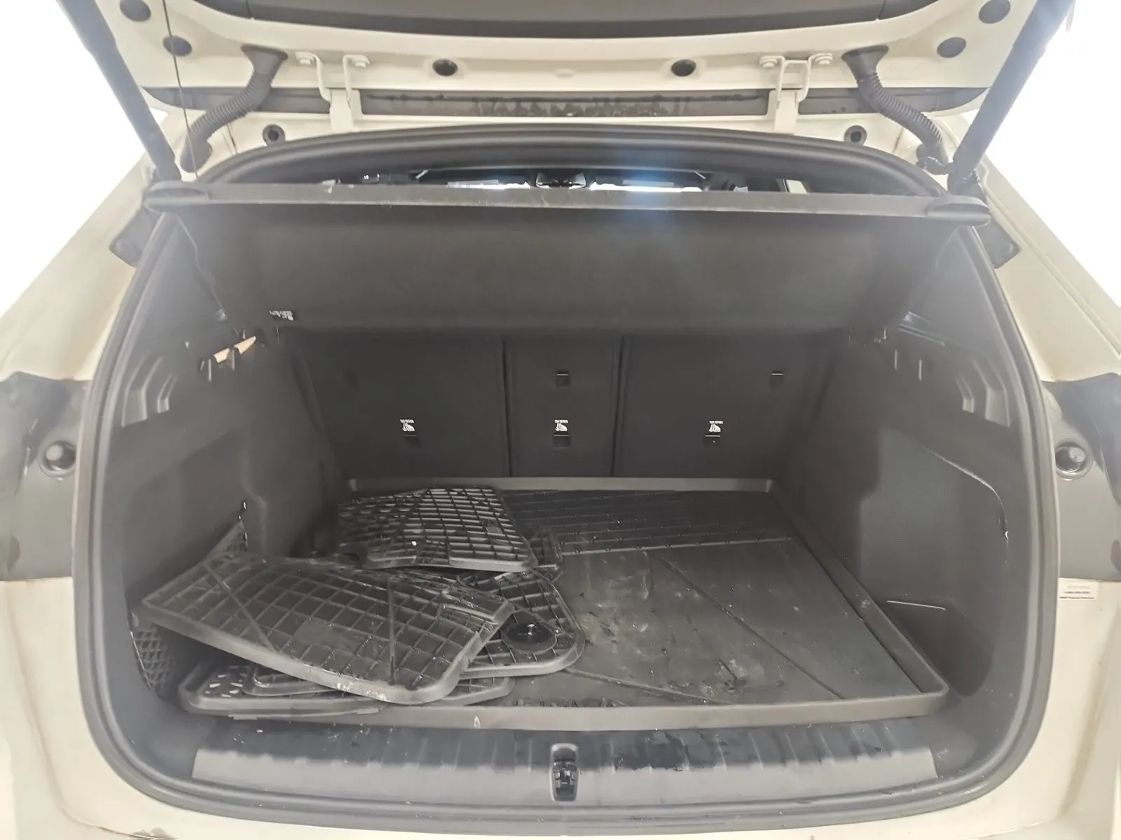 Cargo Area Photo