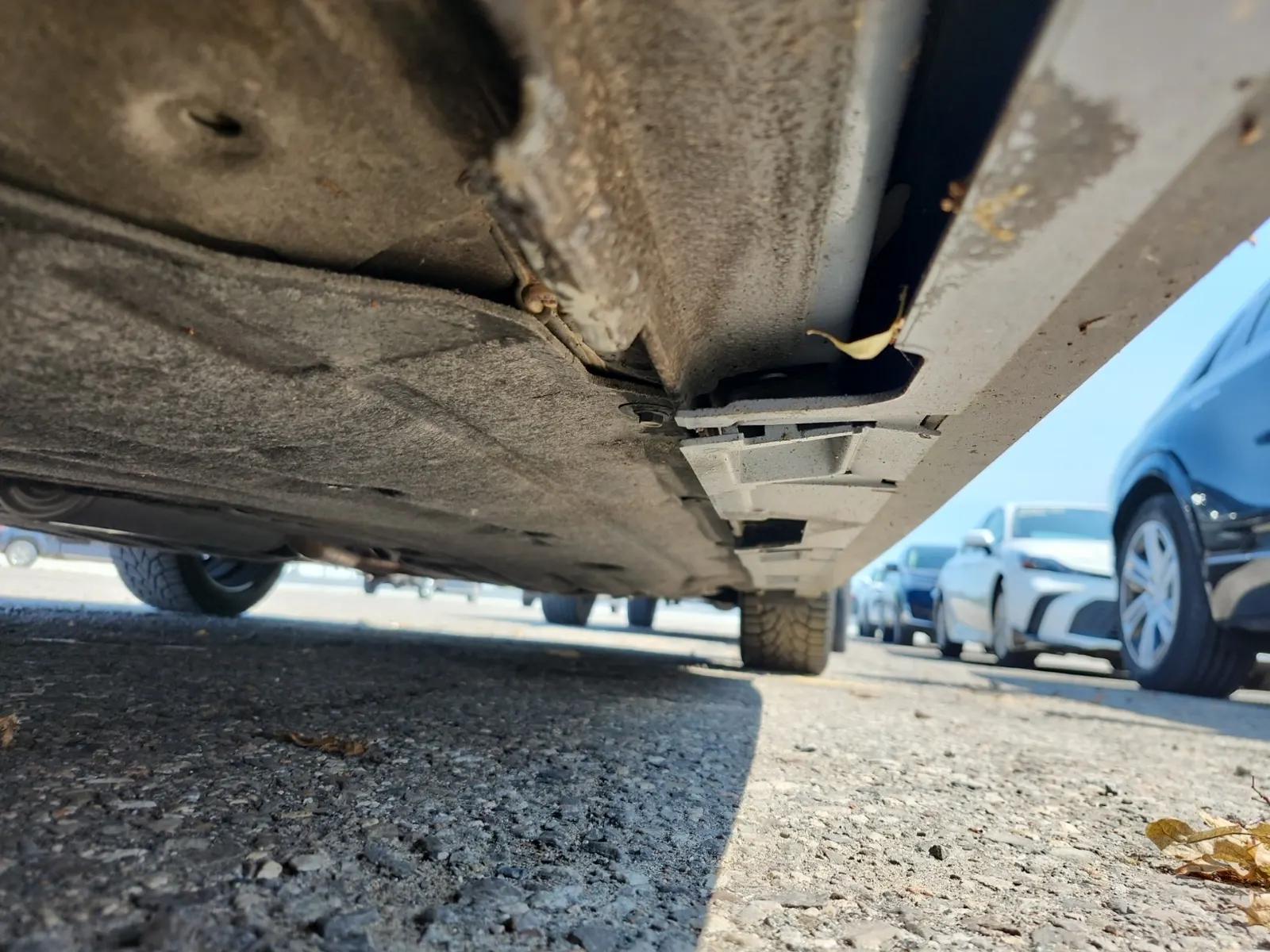Undercarriage - Driver Photo