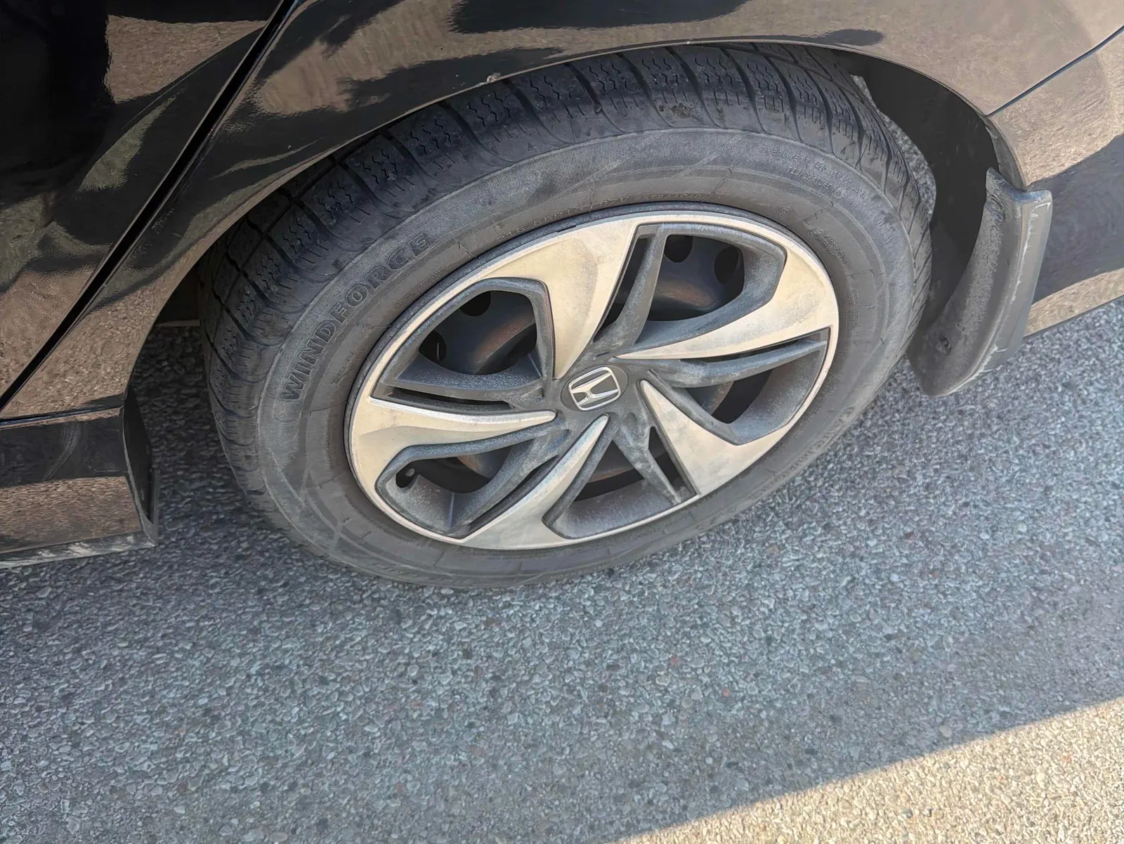 Tire