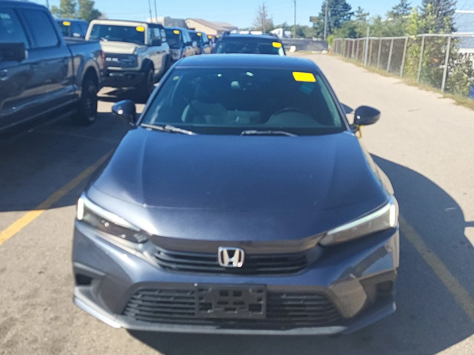 Full Front Photo
