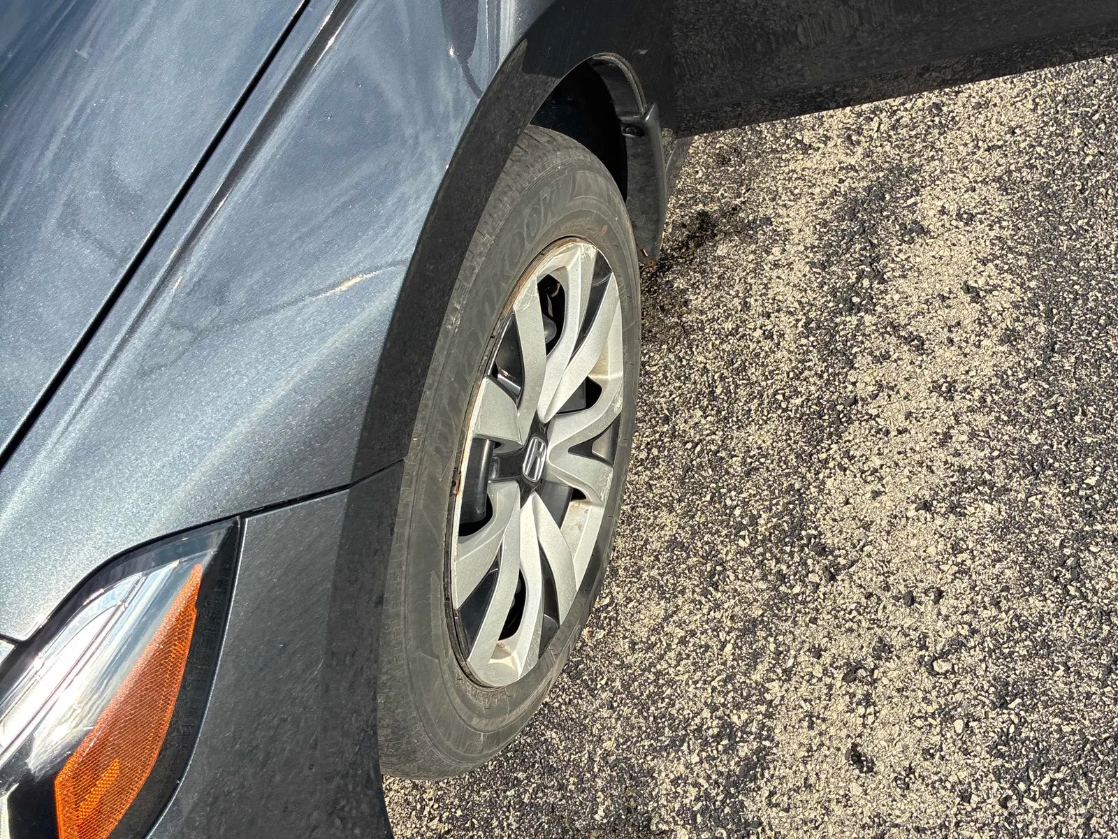 Additional Photo