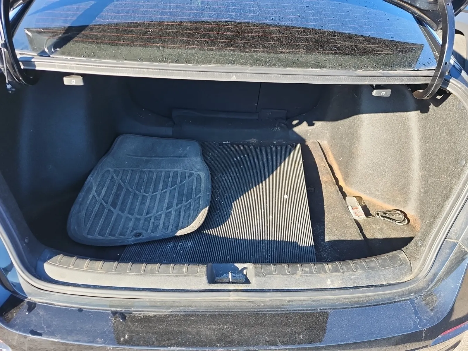 Cargo Area Photo