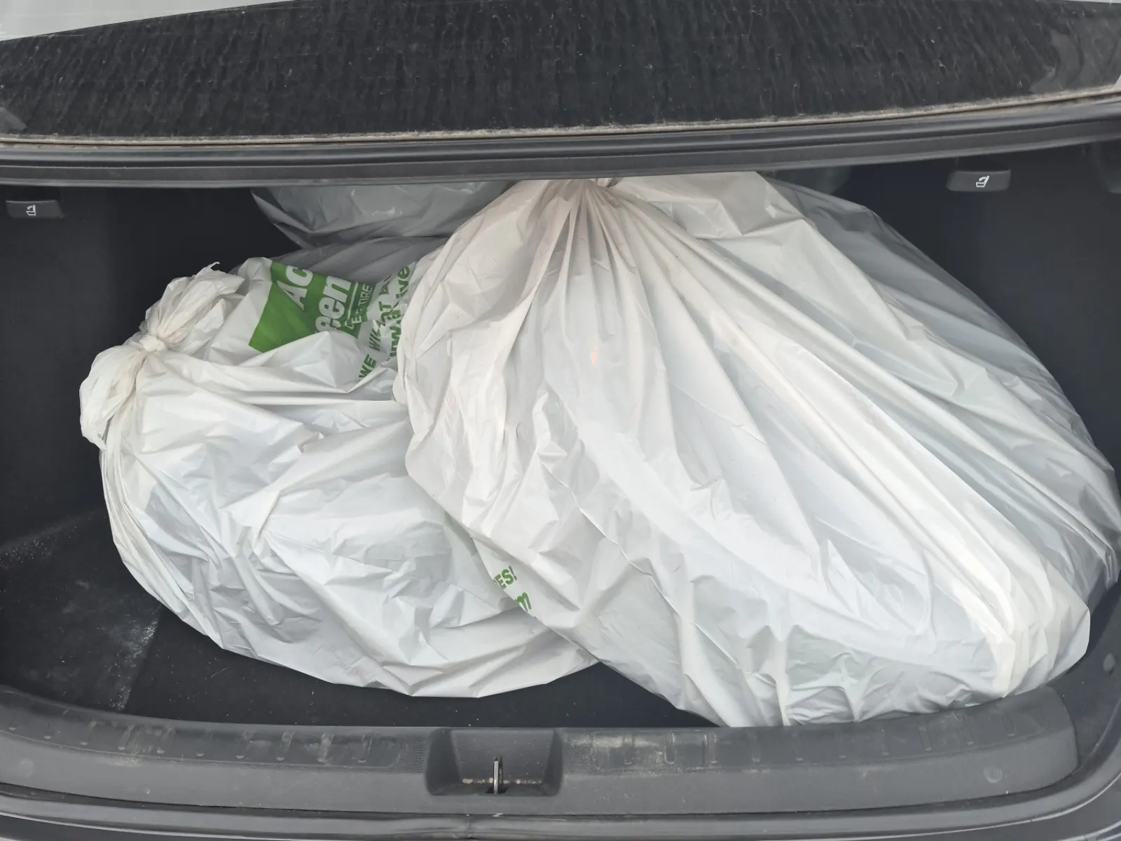 Cargo Area Photo