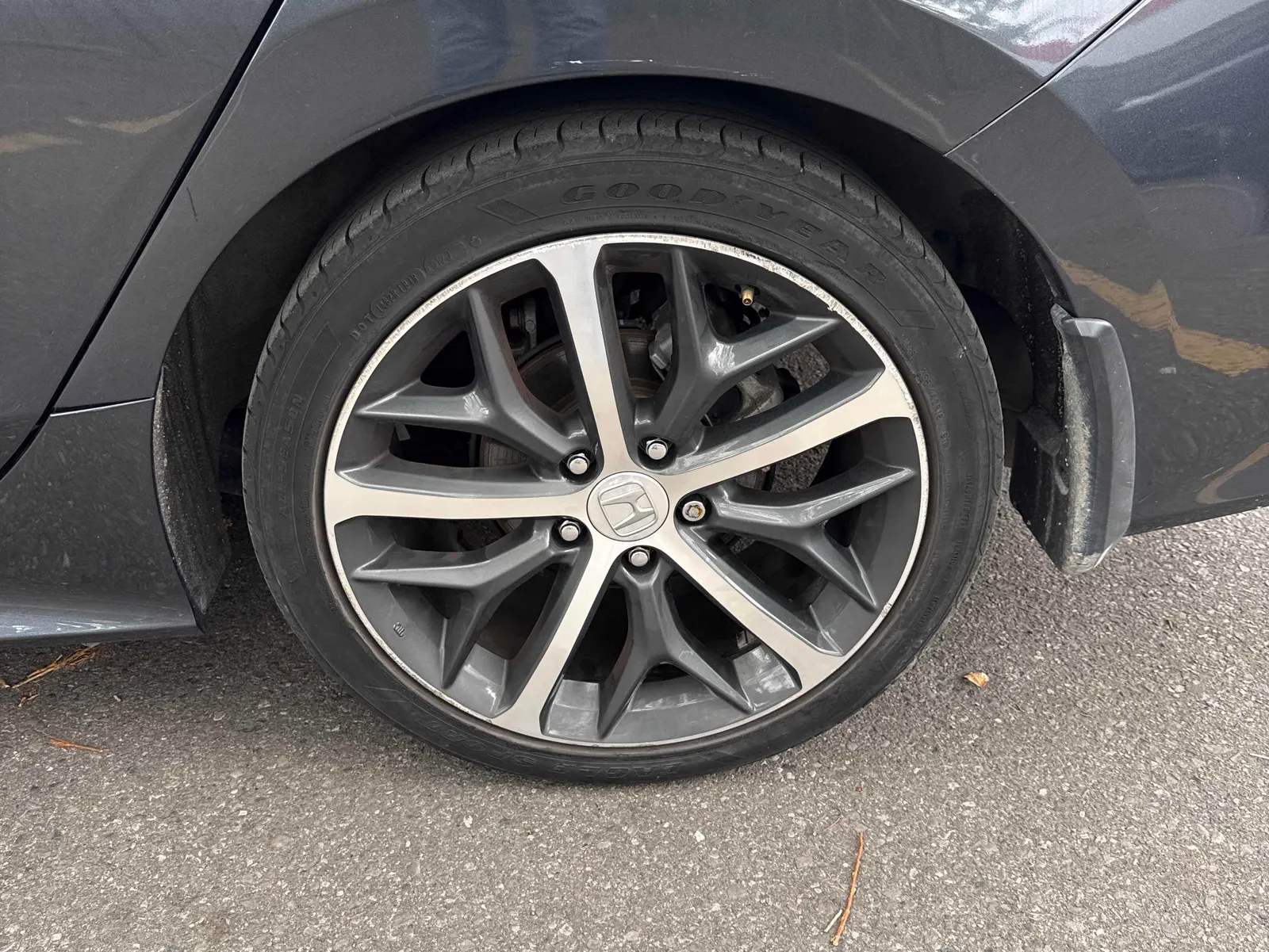 Tire