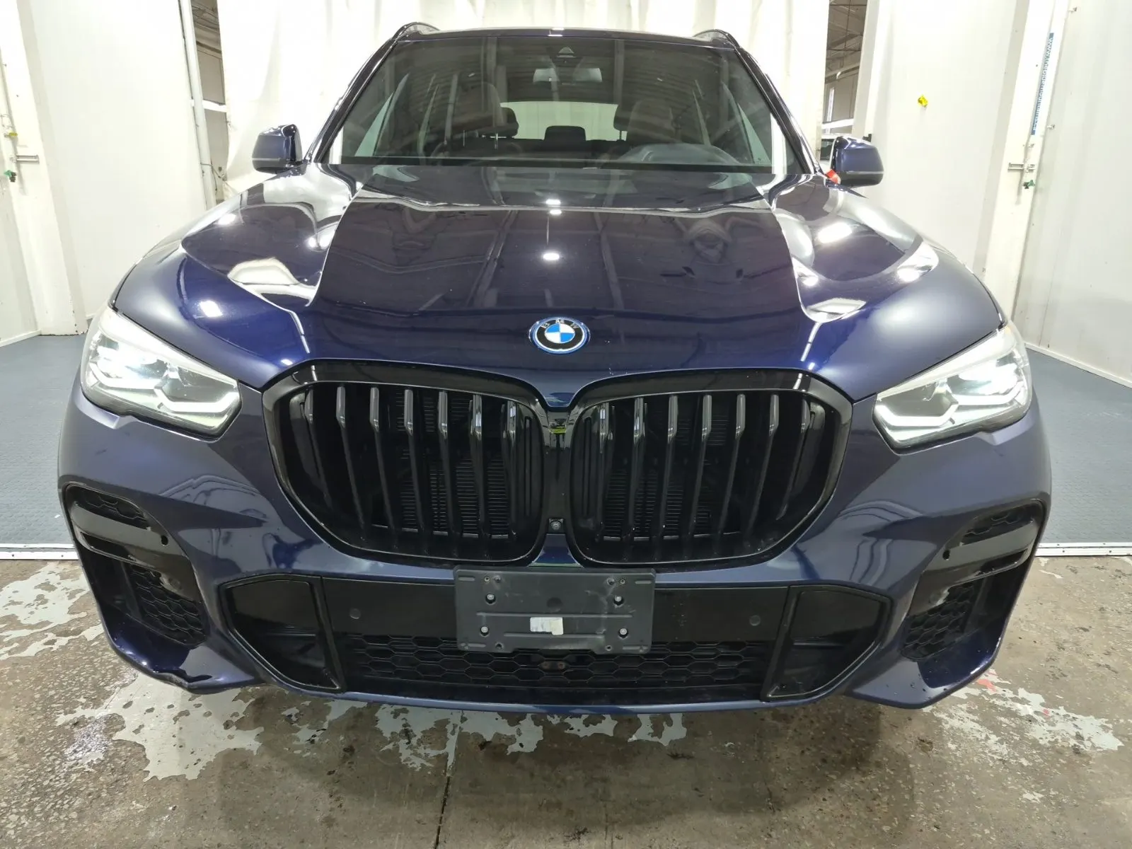 Full Front Photo
