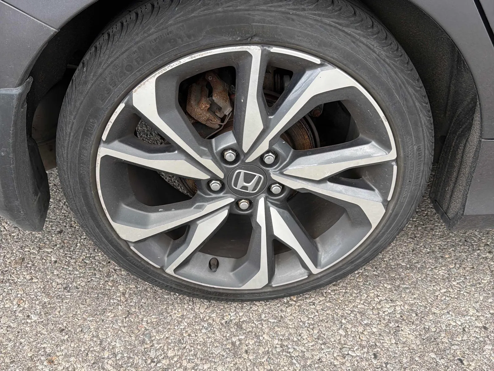 Tire