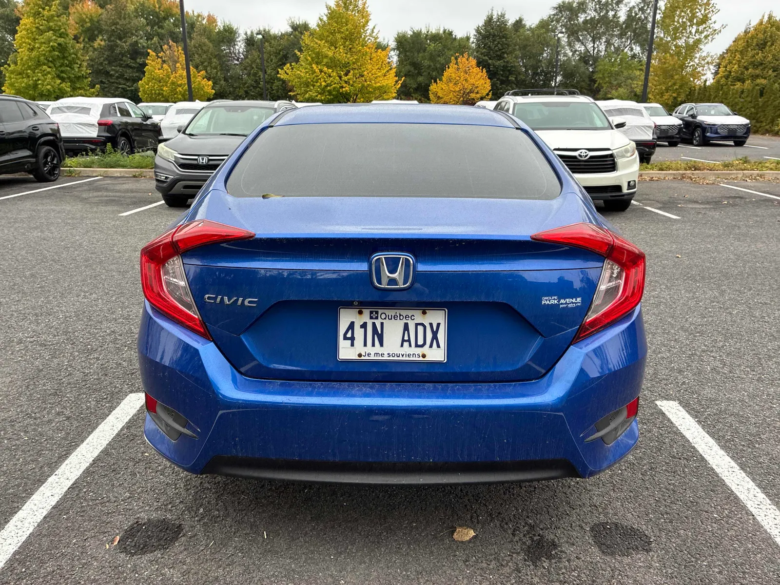 Back