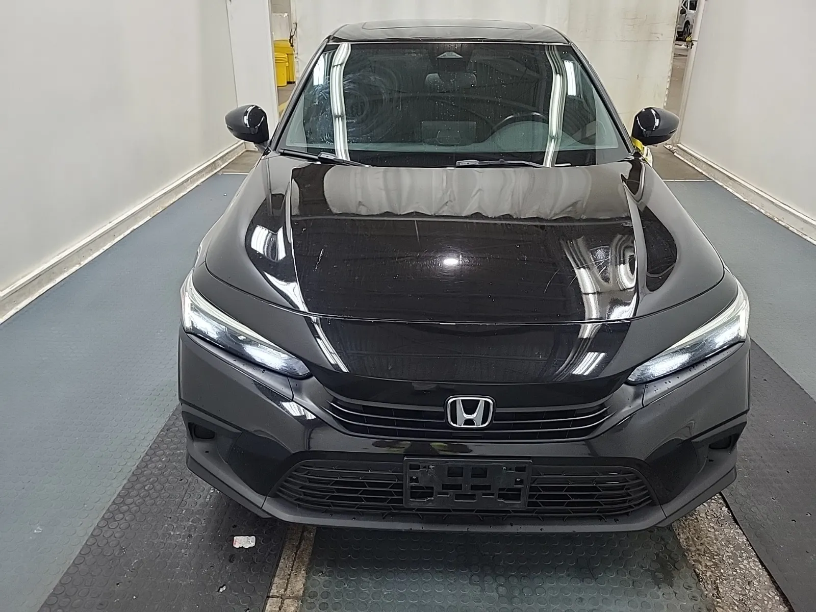 Full Front Photo