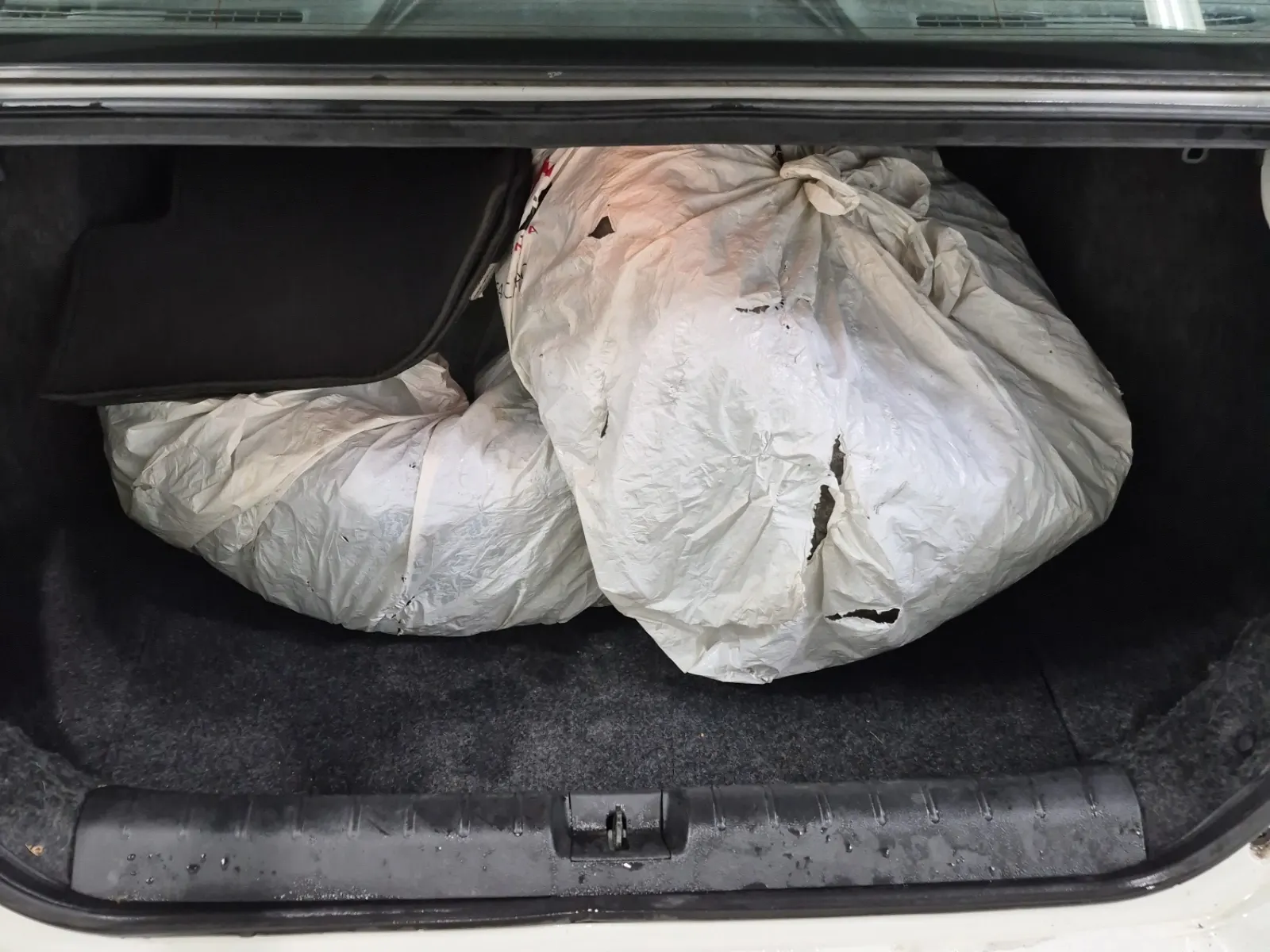 Cargo Area Photo