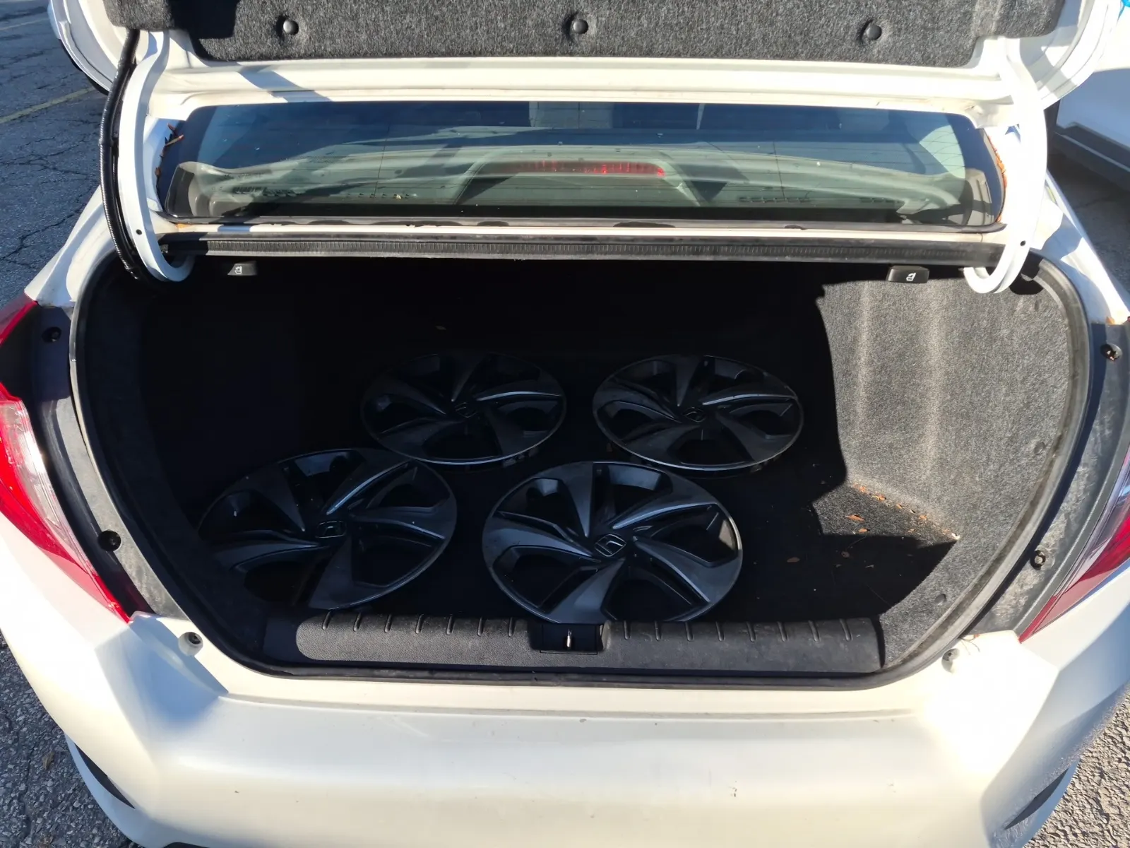 Cargo Area Photo